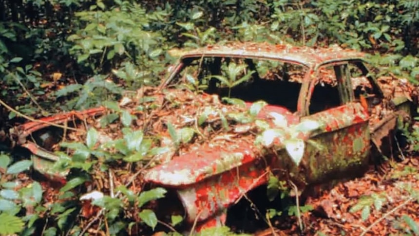 Chevrolet Corvair found abandoned in the jungle