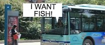 Chinese Bus Driver Stops to Buy Fish, Passengers Puzzled: Angry Wife at Home?