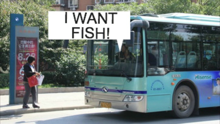 Chinese Bus Driver Stops to Buy Fish, Passengers Puzzled