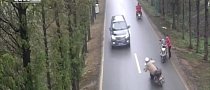 Chivalry Isn’t Dead, but It Almost Killed This Motorcycle Rider