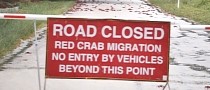 Christmas Island Road Traffic Halted Over Red Crab Migration, Everything Is Fine