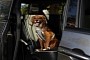 Chrysler Highlights 2022 Pacifica’s Pet-friendly Features Ahead of National Pet Day