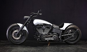 Color-Stripped Harley-Davidson Styler Looks Like a Sculpted Piece of Cold Metal