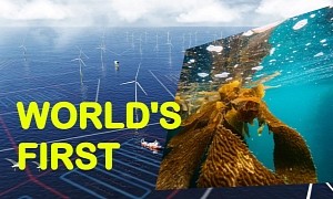 Combining Offshore Wind and Seaweed Farming Is Amazon's New "World's First"