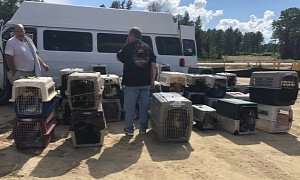 Community Comes Together to Help 50 Rescue Pets Stranded in Van During Florence