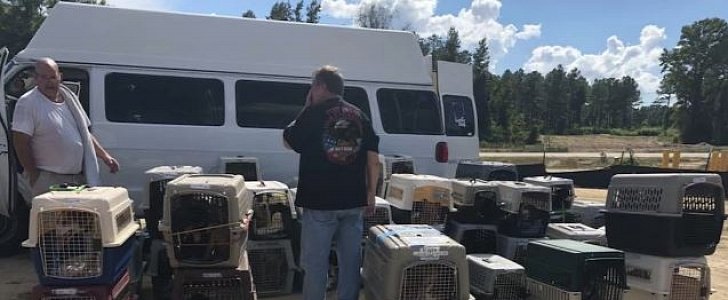 Cats and dogs from South Carolina shelters are being evacuated ahead of Hurricane Florence