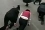 Company Forces Underperforming Staff to Crawl on All Fours Through Traffic