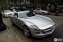 Completely Greyed-Out Mercedes-Benz SLS AMG