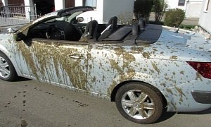 Convertible Owner Experiences Worst Day In Lifetime, Manure Is Involved
