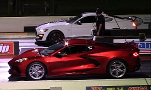 Corvette C8 vs Shelby GT500: Loser Learns Who Sits Higher on the Food Chain