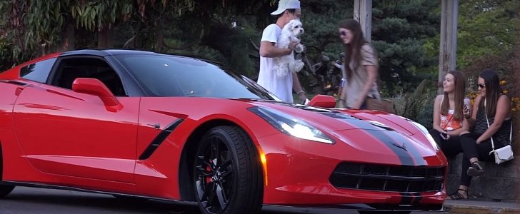 Corvette Fights Cute Puppy for Cute Girl's Attention