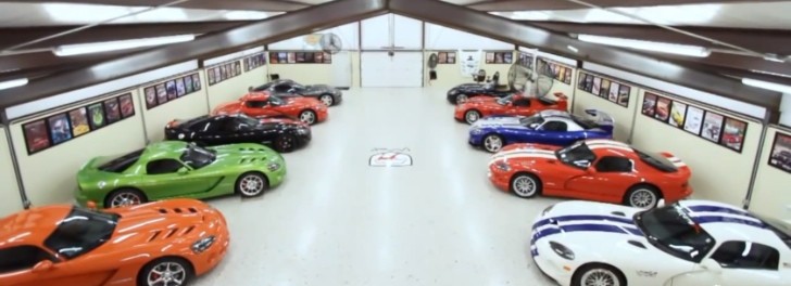 Viper collection in Texas
