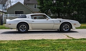 Covered for 43 Years: Fabulous 1981 Trans Am Is So Original It Even Has the Factory Hoses