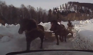 Crazy Horses with Carts Attack an SUV in Russia