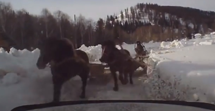 Crazy Horses with Carts Attack an SUV in Russia