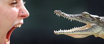 Crocodile Brought Down Plane, Killed 20