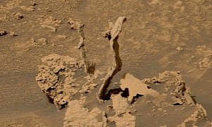 Curiosity Rover Finds Mysterious Spikes That Look Like Remnants of an Ancient Tree