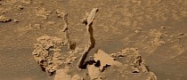 Curiosity Rover Finds Mysterious Spikes That Look Like Remnants of an Ancient Tree