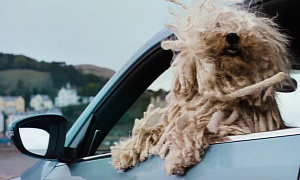 Cute New Ad Shows There's a Volkswagen for Every Dog