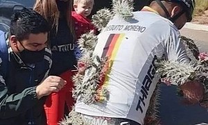 Cyclist Turned Human Porcupine After Cactus Fall Is Peak 2020