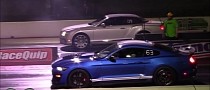 Dad's 2020 Shelby GT500 vs. Son's Conti GTC Show Sticky Quarter-Mile Family Ties