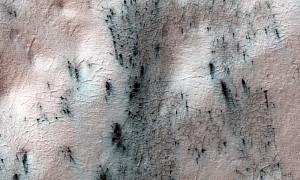 Dark Spiders on the Surface of Mars Rise From Underneath, Are Not Actually Creatures