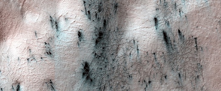 NASA calls these Martian features spiders