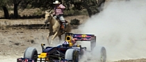David Coulthard and Red Bull Go Off-Roading in Texas