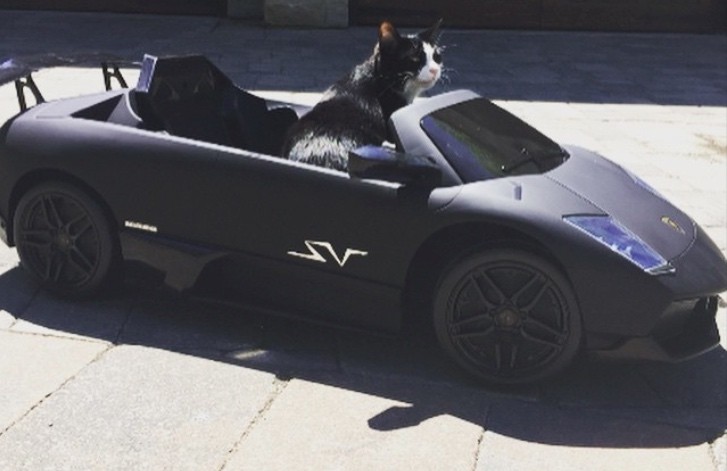 Deadmau5’ Cat Has a Lamborghini Power Wheels Battery Car 