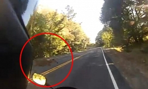Deer Almost Hits Motorcyclist