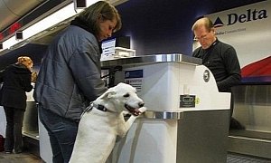 Delta Airlines Bans Pit Bulls as Emotional Support Companions
