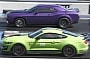Discontinued Muscle Cars Aren't Dead: Dodge Demon 170 Drag Races Ford Shelby GT500
