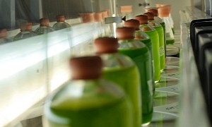 Discovery Allows Micro-Algae To Produce Green Fuels on an Industrial Scale