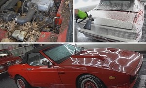 Disgusting, Ant-Infested TVR 280i Gets First Wash in 10 Years