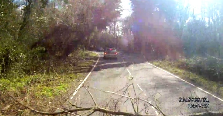 Rider crashes when a dead branch falls from a tree in his way