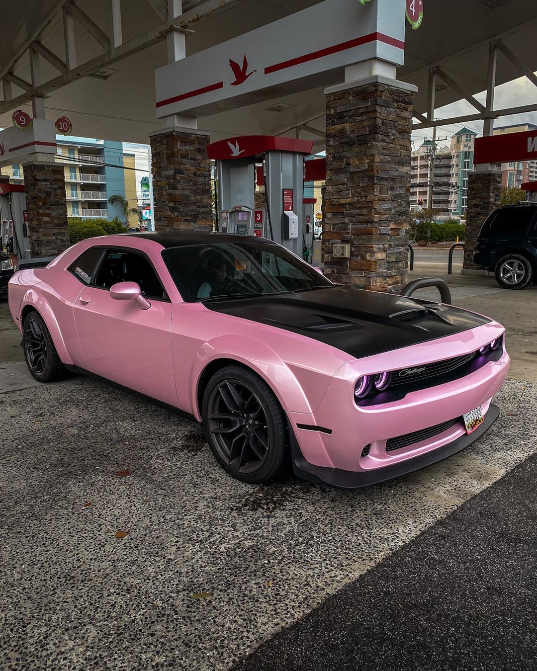 Pink scat pack