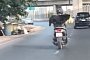 Dog Brings Stuffed Toy For Ride on Back of Motorcycle