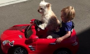 Dog Chauffeurs Boy in a Scaled-Down Mercedes-Benz SLS AMG