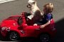 Dog Chauffeurs Boy in a Scaled-Down Mercedes-Benz SLS AMG