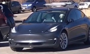 Dog Driving a Tesla Model 3 Is What the Smart Summon Function Was Made for