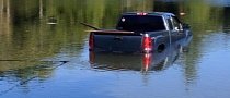 Dog “Hijacks” Owner’s Truck, Drives It into a Lake