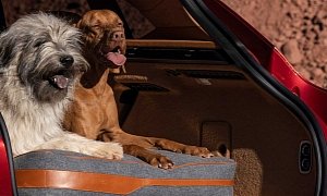 Dog Owners And Gun Enthusiasts, Rejoice! Aston Martin Presents DBX Accessories