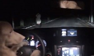 Dog Plays Dead, Steals Woman's Car in Russian "Dashcam" Subaru Ad