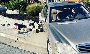 Dog Takes Mercedes Benz S-Class for Short Joyride With Predictable Outcome