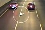 Dog With 9 Lives Leaps Out of Speeding Car Into Busy Tunnel, Survives
