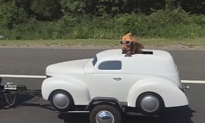 Dogs Are Great Motorcycling Companions