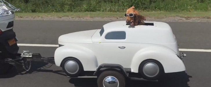 This dog is enjoying his Can-Am-powered retro car