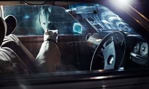 Dogs In Cars: the Artistic Side of Abandoning Man's Best Friend