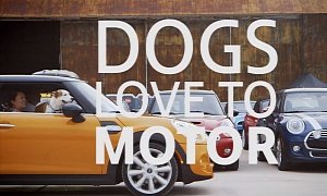 Dogs Love to Motor and MINI Loves to Motor with them
