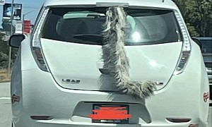 Don't Let Snoop Dogg See This Nissan Leaf Mod That Goes Wiggle, Wiggle, Wiggle